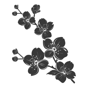 AI generated Silhouette Cherry blossoms or sakura flower black color only png
