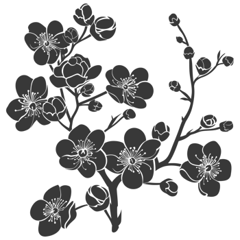 AI generated Silhouette Cherry blossoms or sakura flower black color only png