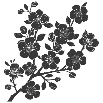 AI generated Silhouette Cherry blossoms or sakura flower black color only png
