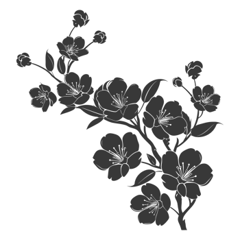 AI generated Silhouette Cherry blossoms or sakura flower black color only png