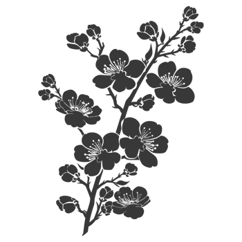 AI generated Silhouette Cherry blossoms or sakura flower black color only png