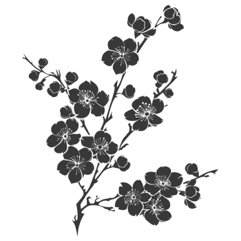 AI generated Silhouette Cherry blossoms or sakura flower black color only png