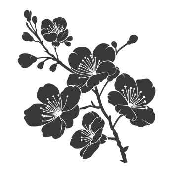 AI generated Silhouette Cherry blossoms or sakura flower black color only png