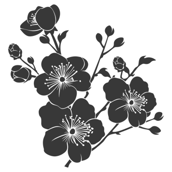 AI generated Silhouette Cherry blossoms or sakura flower black color only png