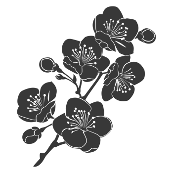 AI generated Silhouette Cherry blossoms or sakura flower black color only png