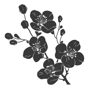 AI generated Silhouette Cherry blossoms or sakura flower black color only png