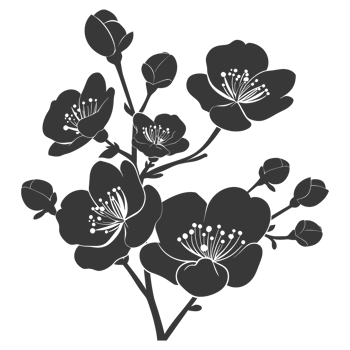 AI generated Silhouette Cherry blossoms or sakura flower black color only png