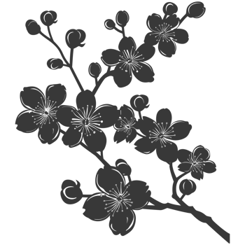 AI generated Silhouette Cherry blossoms or sakura flower black color only png