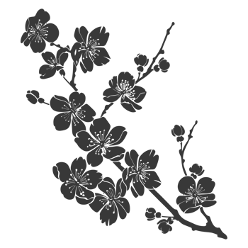 AI generated Silhouette Cherry blossoms or sakura flower black color only png