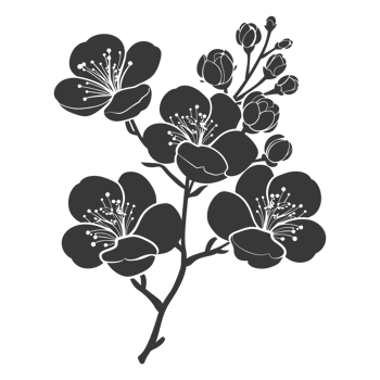 AI generated Silhouette Cherry blossoms or sakura flower black color only png