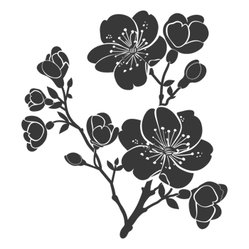 AI generated Silhouette Cherry blossoms or sakura flower black color only png