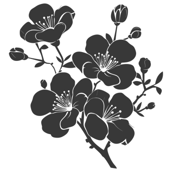 AI generated Silhouette Cherry blossoms or sakura flower black color only png