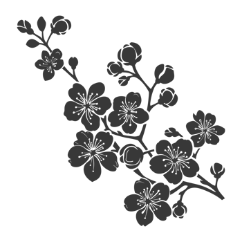 AI generated Silhouette Cherry blossoms or sakura flower black color only png
