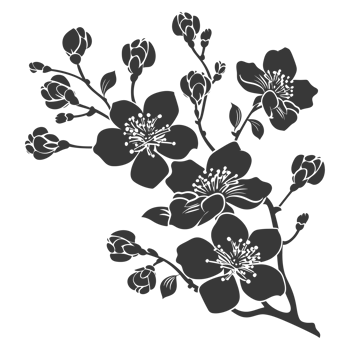 AI generated Silhouette Cherry blossoms or sakura flower black color only png