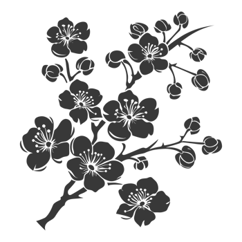 AI generated Silhouette Cherry blossoms or sakura flower black color only png