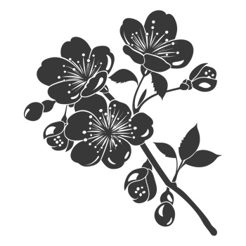 AI generated Silhouette Cherry blossoms or sakura flower black color only png