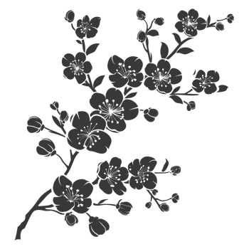 AI generated Silhouette Cherry blossoms or sakura flower black color only png