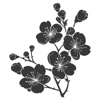 AI generated Silhouette Cherry blossoms or sakura flower black color only png