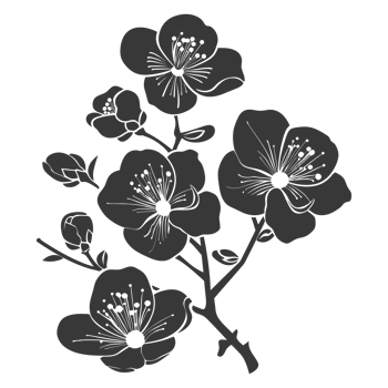 AI generated Silhouette Cherry blossoms or sakura flower black color only png