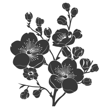 AI generated Silhouette Cherry blossoms or sakura flower black color only png
