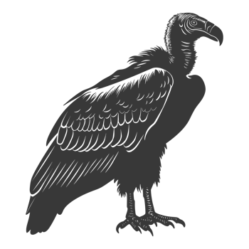 AI generated Silhouette vulture bird animal black color only png