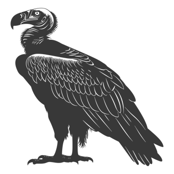 AI generated Silhouette vulture bird animal black color only png
