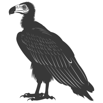 AI generated Silhouette vulture bird animal black color only png