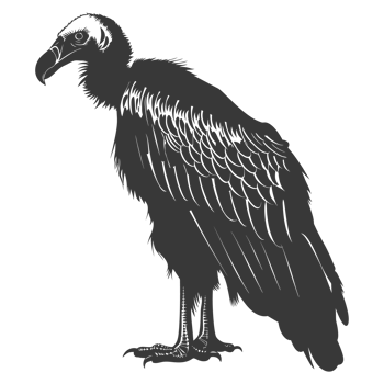 AI generated Silhouette vulture bird animal black color only png