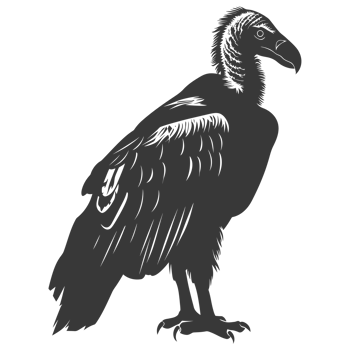 AI generated Silhouette vulture bird animal black color only png