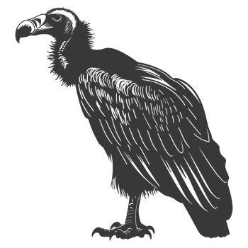 AI generated Silhouette vulture bird animal black color only png