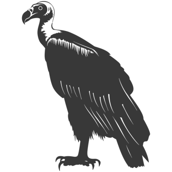 AI generated Silhouette vulture bird animal black color only png