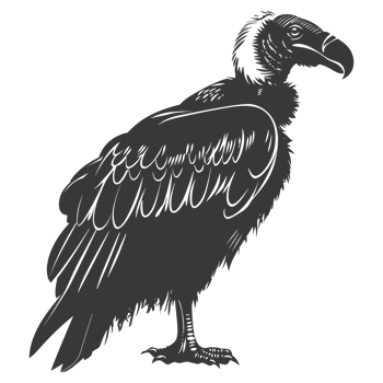 AI generated Silhouette vulture bird animal black color only png