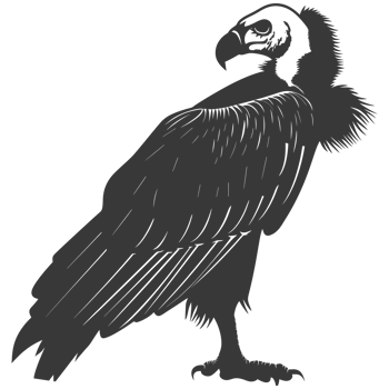 AI generated Silhouette vulture bird animal black color only png