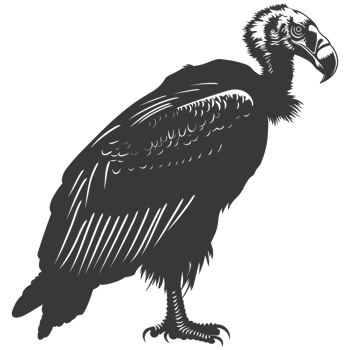 AI generated Silhouette vulture bird animal black color only png