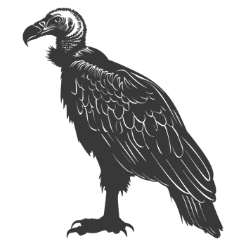 AI generated Silhouette vulture bird animal black color only png