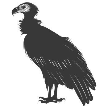 AI generated Silhouette vulture bird animal black color only png
