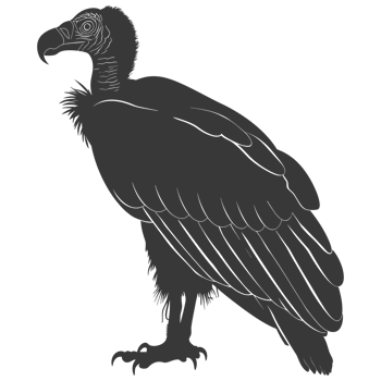 AI generated Silhouette vulture bird animal black color only png