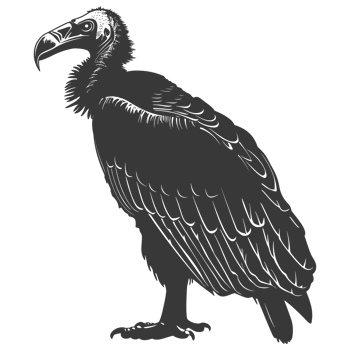 AI generated Silhouette vulture bird animal black color only png