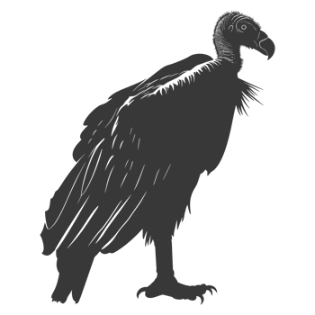 AI generated Silhouette vulture bird animal black color only png