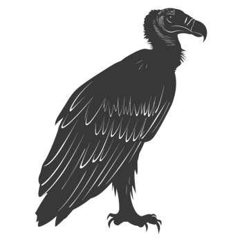 AI generated Silhouette vulture bird animal black color only png