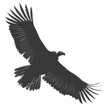 AI generated Silhouette vulture bird animal fly black color only png