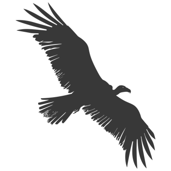 AI generated Silhouette vulture bird animal fly black color only png