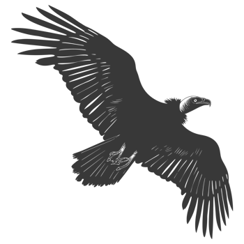 AI generated Silhouette vulture bird animal fly black color only png