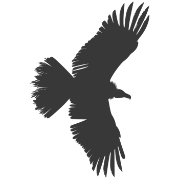 AI generated Silhouette vulture bird animal fly black color only png
