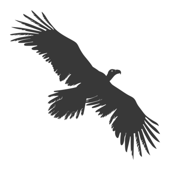 AI generated Silhouette vulture bird animal fly black color only png