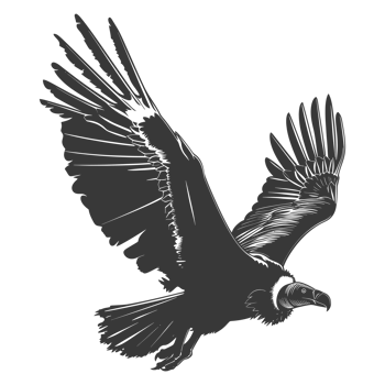 AI generated Silhouette vulture bird animal fly black color only png