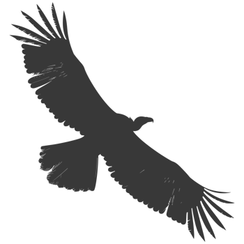 AI generated Silhouette vulture bird animal fly black color only png