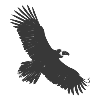 AI generated Silhouette vulture bird animal fly black color only png
