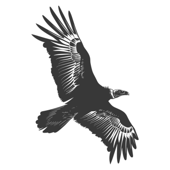 AI generated Silhouette vulture bird animal fly black color only png
