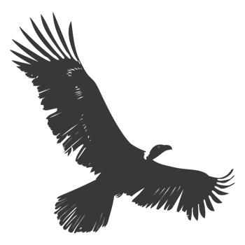 AI generated Silhouette vulture bird animal fly black color only png